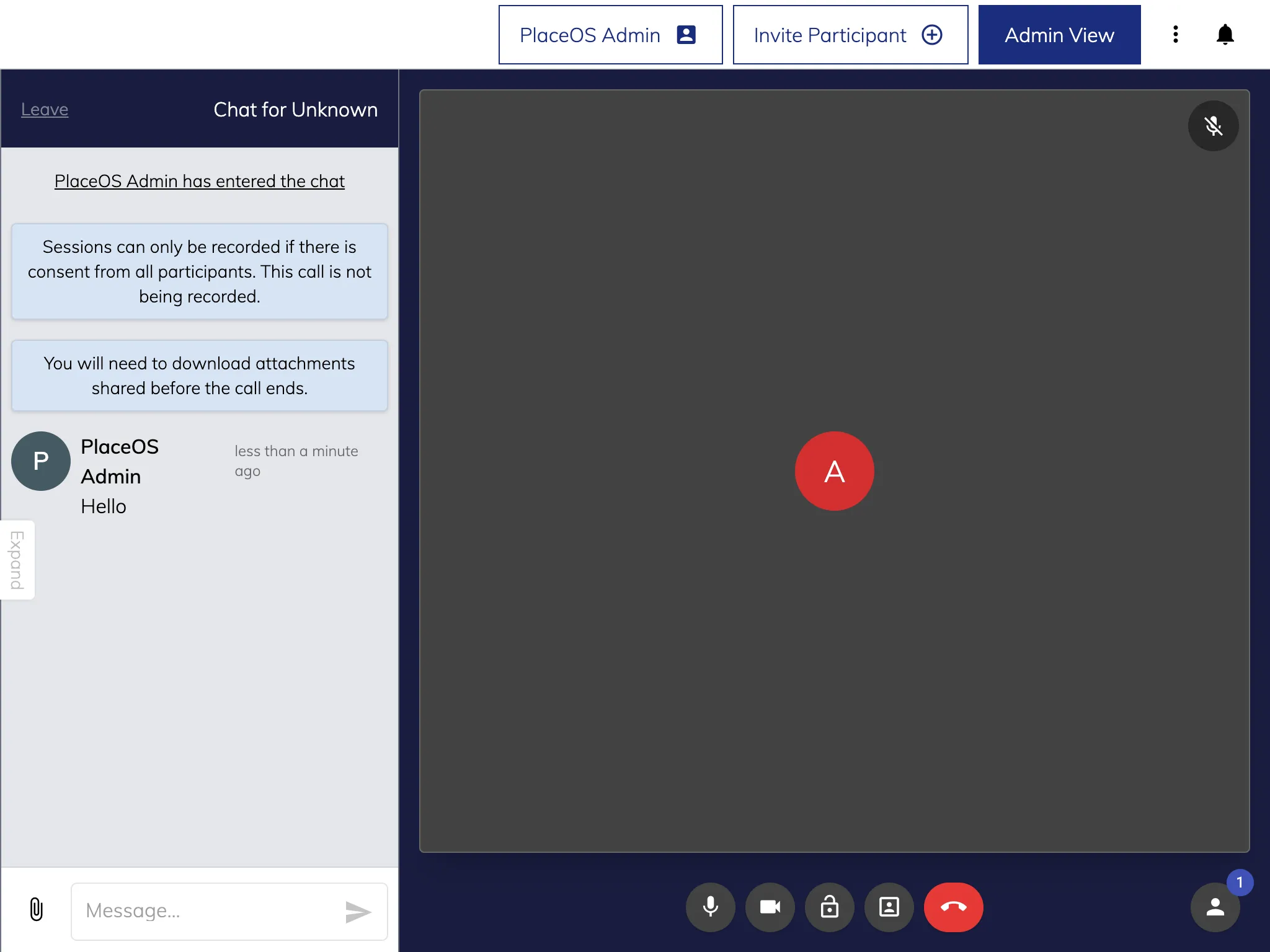 Interface for a telehealth call conference